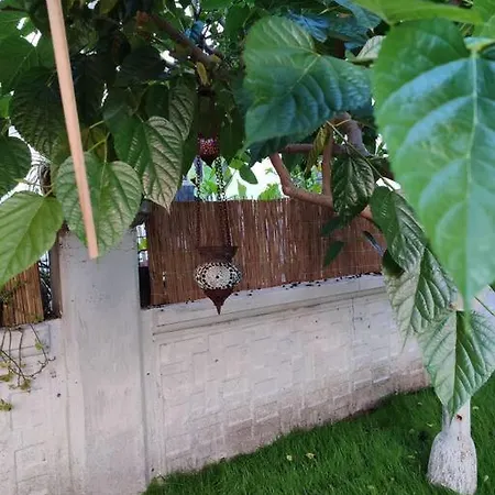 Hotel Yesil