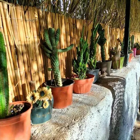 Yesil Fethiye