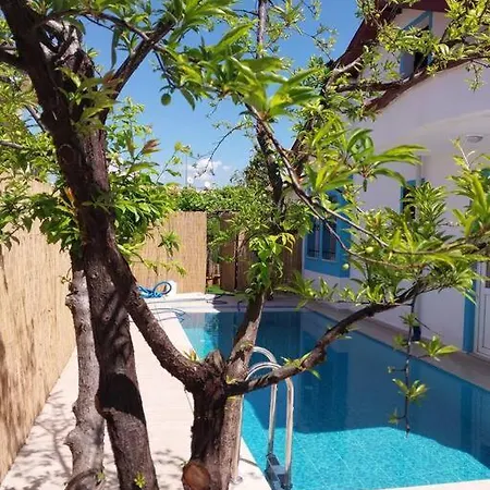 Yesil Hotel