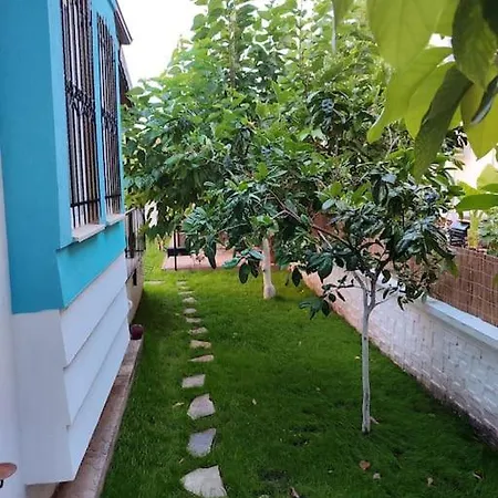 Hotel Yesil *