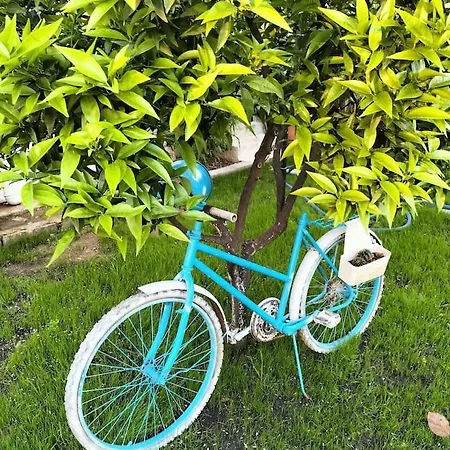 Hotel Yesil Fethiye