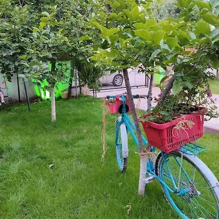 Yesil * Fethiye